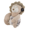 Lion-Fluffy Blanket Toy-Patterned