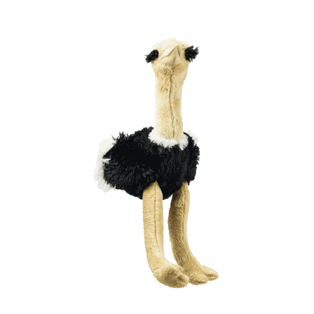 Small Ostrich 28cm