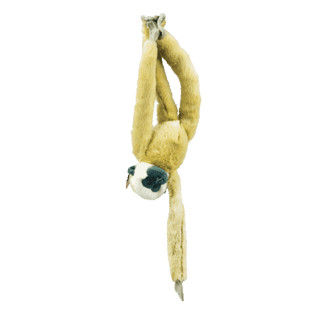 Long Arm Gibbon 43cm