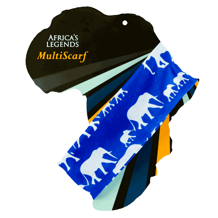 Elephant Blue