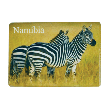 Namibia Zebra