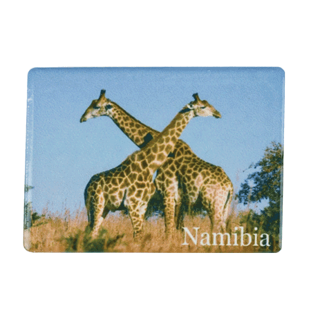 Namibia, Giraffe