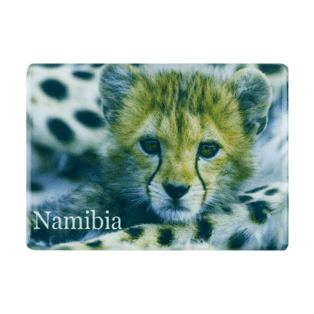 Namibia, Cheetah Cub