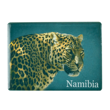 Namibia, Leopard
