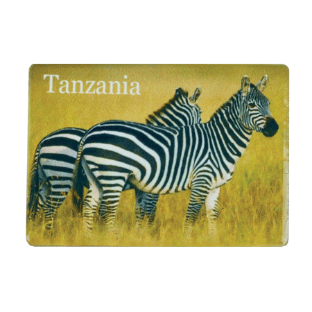 Tanzania, Zebra