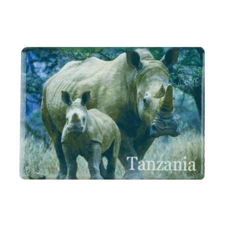 Tanzania, Rhino